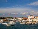 IMG_4035 copy